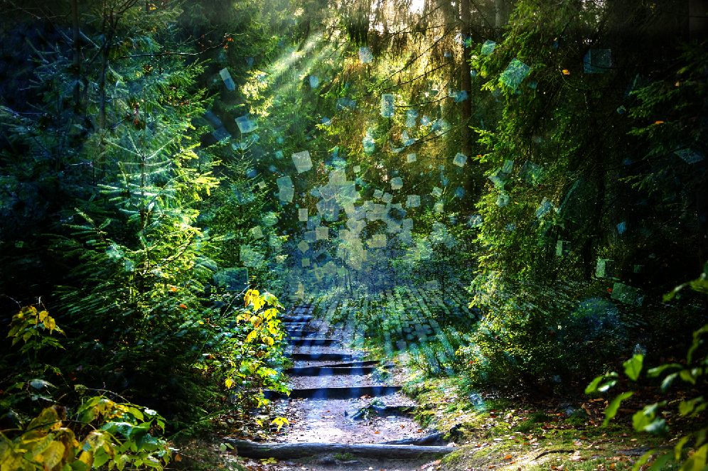 #3 Die Krux der Paradoxität